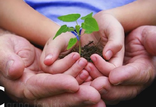 hexie059's profile picture. 