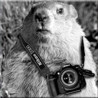 YupYupn0's profile picture. 2025 The year Twilight Zone became real.