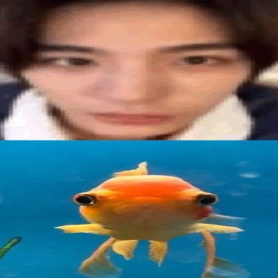 xixizzzyue's profile picture. ᴋᴘᴏᴘ, ᴋ-ʜɪᴘʜᴏᴘ, ᴋᴅʀᴀᴍᴀꜱ✨