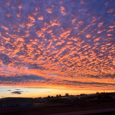 trishhi3's profile picture. Appreciate life, experiences, and the people you surround yourself with