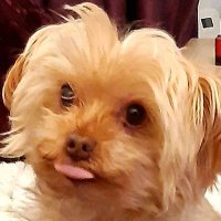 Neale Johnston (@nealeysquealy) 's Twitter Profile Photo Neale Johnston (@nealeysquealy) 's Twitter Profile Photo