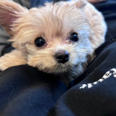 hiwikzoxjchqva's profile picture. 