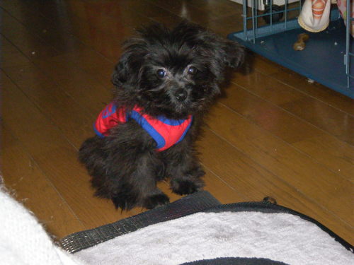 masakigogo2001's profile picture. 