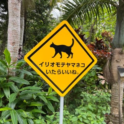 20代大人スケーター⛸️大人スケーターの皆さんと仲良くなりたくてアカウント作りました。無言フォロー失礼いたします🙇関東リンクで練習、たまに試合も。