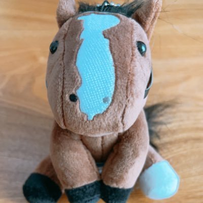 chibalotte_cham's profile picture. 競馬予想🏇馬好き🐴 好きなジョッキー→横山和生 好きな馬→ベラジオオペラ 思い出のレース→大阪杯2024 これまでの的中🎯2024日本ダービー 10000円投資256710円回収　的中率より回収率！！