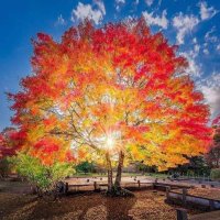 ImADelight (@imadelightkc) 's Twitter Profile