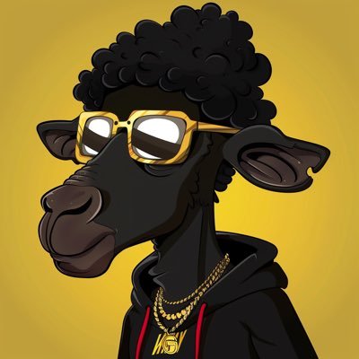 Who’s the BLK Sheep?