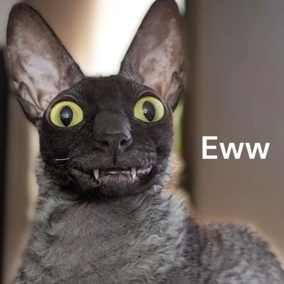 TwitsYourThing's profile picture. Xennial, liberal, Christian minus the extra religious stuff, gay white dude. GOP is pure evil. VOTE BLUE UP & DOWN THE BALLOT!