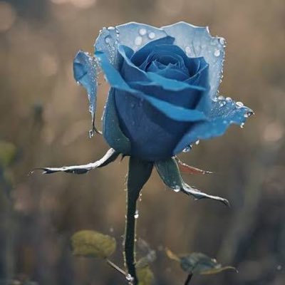 shinotsuku_7716's profile picture. セフ募。えっちなこと大好き。