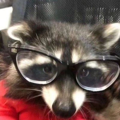 Crypto / Airdrop Enthusiast