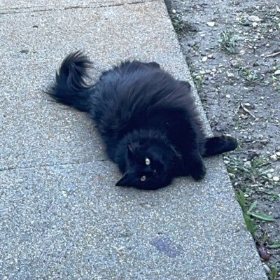 KyTySaTh's profile picture. art appreciator.