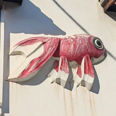 HIJyZP48bM2UHcf's profile picture. ＯＳＫ日本歌劇団が大好きです☺
OGさんの公演も要チェック！
れい様、ありすちゃん、90期、椿くん 💕