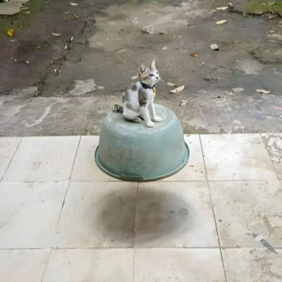 kratos1x1x's profile picture. 