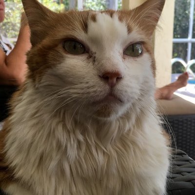 dancapobianco13's profile picture. Getting better, All Day, Every day.