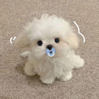 取引 取引後はDM削除致します