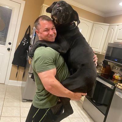 FitPletz13's profile picture. If you're easily offended, just dont.. Conservative pot stirrer! 
dogs, bodybuilding and pew pews are my top 3