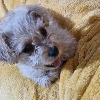 Juan Jose Anguiano (@juanjo0892) 's Twitter Profile