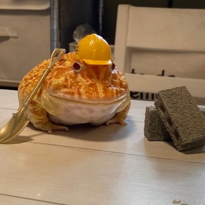 はちわれねこさんのプロフィール画像
