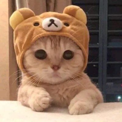 Lama256's profile picture. beach🌴 || fun || 18 ♥ 6|| lets chat 👇