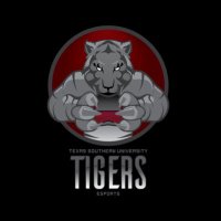 TSU Esports 🐅 (@tigersunitedtsu) 's Twitter Profile Photo TSU Esports 🐅 (@tigersunitedtsu) 's Twitter Profile Photo