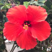 𝓚𝓲𝓶𝓫𝓮𝓻𝓵𝔂 (luckynumber113.bsky.social) (@lucky_number113) 's Twitter Profile Photo 𝓚𝓲𝓶𝓫𝓮𝓻𝓵𝔂 (luckynumber113.bsky.social) (@lucky_number113) 's Twitter Profile Photo