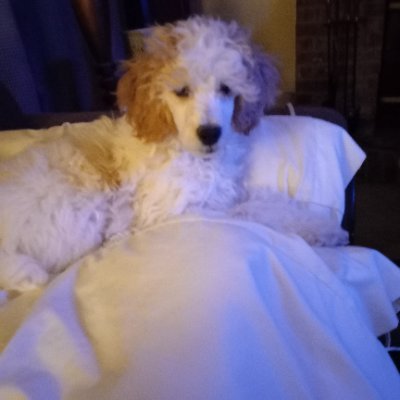 Deborah07172844's profile picture. Retired