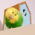 blueberry🏞️ (@blueberry675432) Twitter profile photo blueberry🏞️ (@blueberry675432) Twitter profile photo