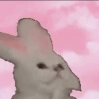 NodCatSolana (@nod_sol) 's Twitter Profile