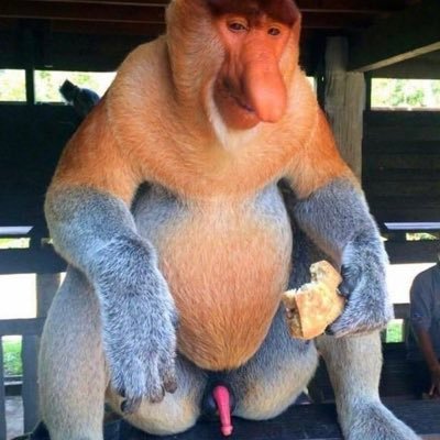 talibanpapi's profile picture. Letterboxd: https://t.co/aivGLE9IVp IMDb: https://t.co/CuQu7URmw8