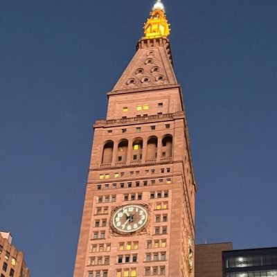 catfishmasc's profile picture. I have no clue what’s going on 80% of the time😁