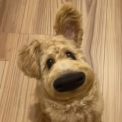 tpgengen's profile picture. NamtanFilm🤍❤️‍🩹🩵💛 | GinJay🦙🐵