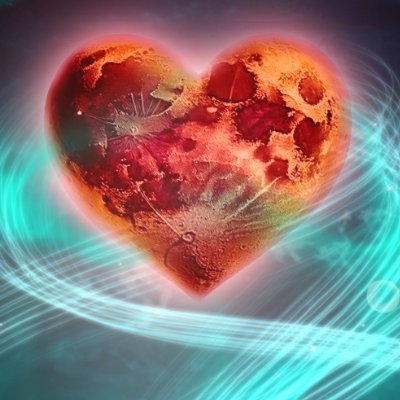 SF_salesupport's profile picture. 