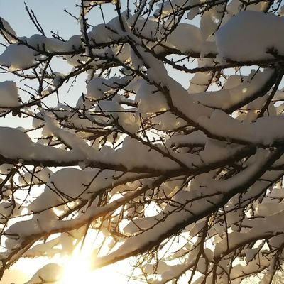 みなかさんのプロフィール画像