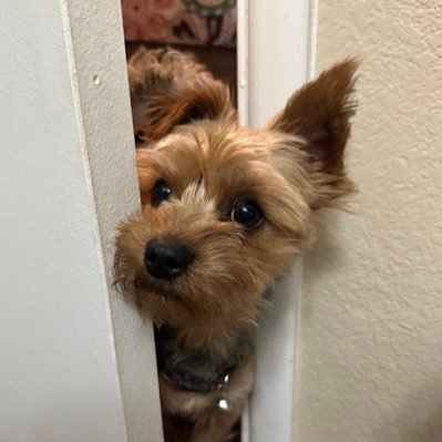 Anniep6886's profile picture. 