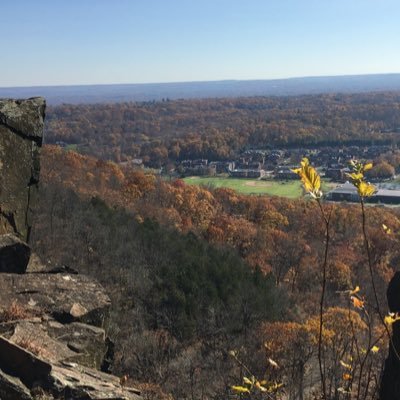 Mikaela DiBello Profile