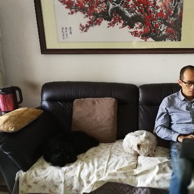 yy11193139's profile picture. 