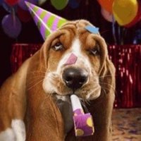 RewardScup ☮️ (@rewardscup) 's Twitter Profile