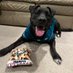 Dog Dad The Pilot (@teambubba23) Twitter profile photo Dog Dad The Pilot (@teambubba23) Twitter profile photo