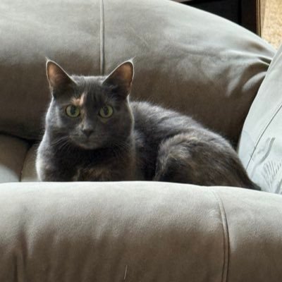 Omamba Profile
