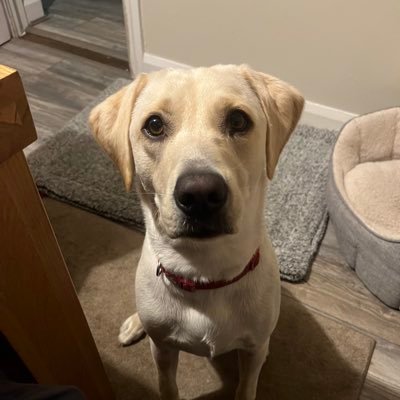 alhorne380's profile picture. 