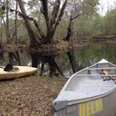 thomas fine - @mrlotus7 - Twitter