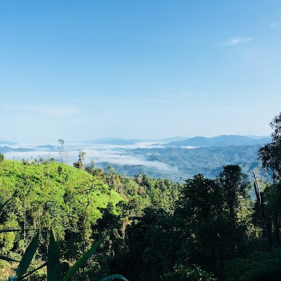 crpi22ei's profile picture. 