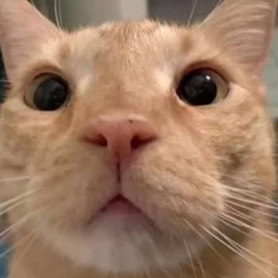 mmouthfully's profile picture. Hi