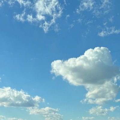 TeriOlle's profile picture. Can you figure out where I am now?