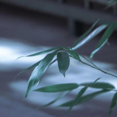 baoxuan83478543's profile picture. web3研学，meme战场，有一起的可以一起玩耍。
喜欢玩，喜欢自由！随心所欲，人生能有几时欢！