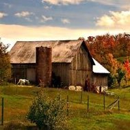 My Small Farm (@scndchncefrmva) 's Twitter Profile