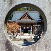 探訪older man (@gosyuinolderman) Twitter profile photo