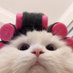 💝 (@pinkergirls) Twitter profile photo 💝 (@pinkergirls) Twitter profile photo