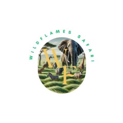 The Journey of a thousand miles begins with one step. #wildflamesafaris #wildflamesafaris@gmail.com