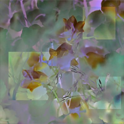 ao_26_34's profile picture. 🪻